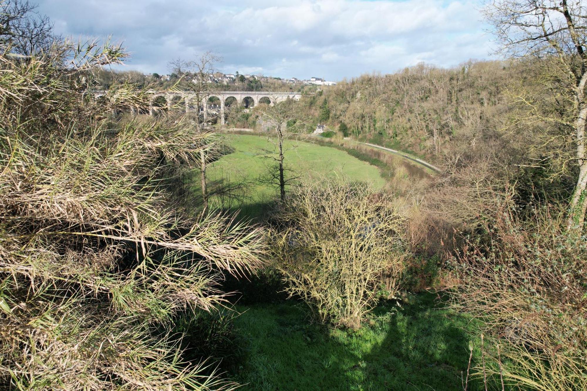 O Bois Dormant- Studio Vue Rance River Et Viaduc De Dinan Lanvallay Экстерьер фото